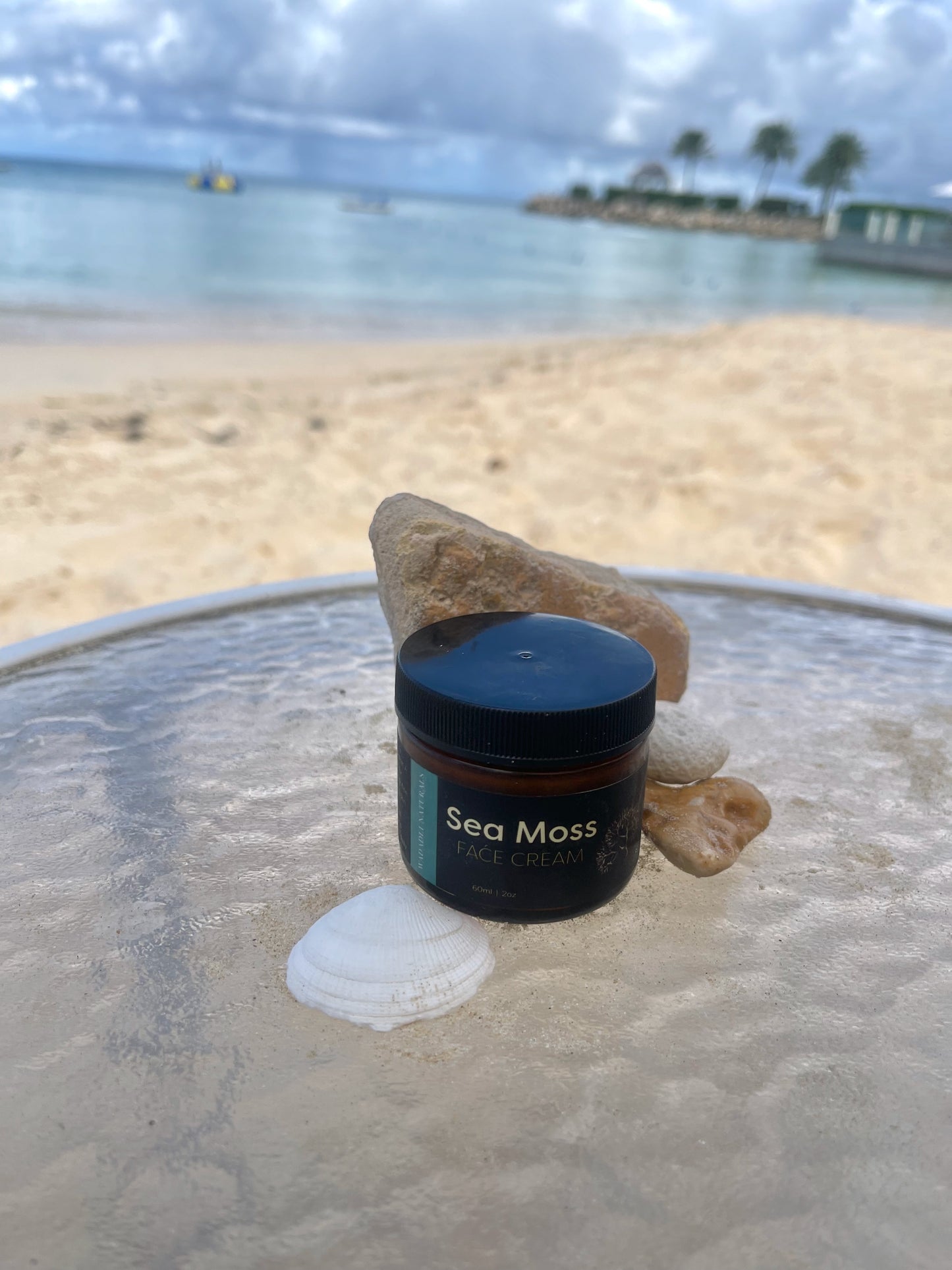 Sea Moss Face Cream